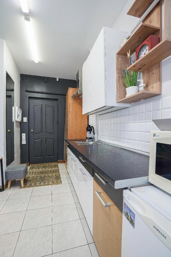 Jaukus Ir Kokybiskas Butas Panevezio Centre Daire Panevėžys Dış mekan fotoğraf